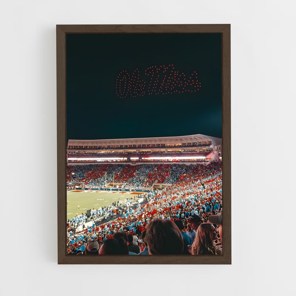 Poster Nuit des Rebels – affiche Baseball (vue 5)